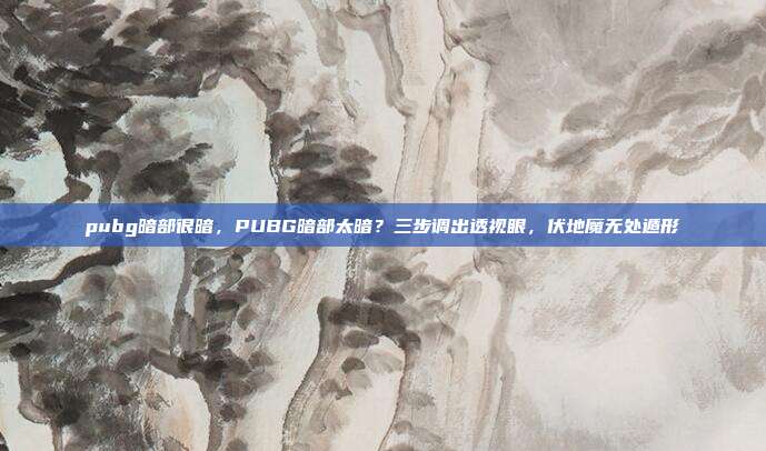 pubg暗部很暗，PUBG暗部太暗？三步调出透视眼，伏地魔无处遁形