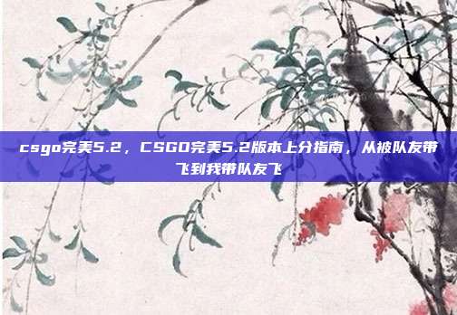 csgo完美5.2，CSGO完美5.2版本上分指南，从被队友带飞到我带队友飞
