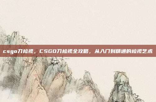 csgo刀检视，CSGO刀检视全攻略，从入门到精通的检视艺术