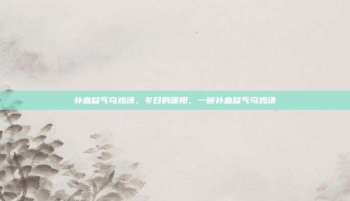 补血益气乌鸡汤，冬日的暖阳，一碗补血益气乌鸡汤
