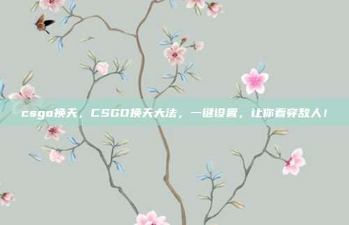 csgo换天，CSGO换天大法，一键设置，让你看穿敌人！