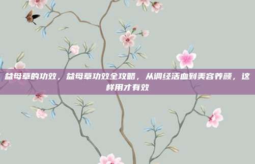 益母草的功效，益母草功效全攻略，从调经活血到美容养颜，这样用才有效