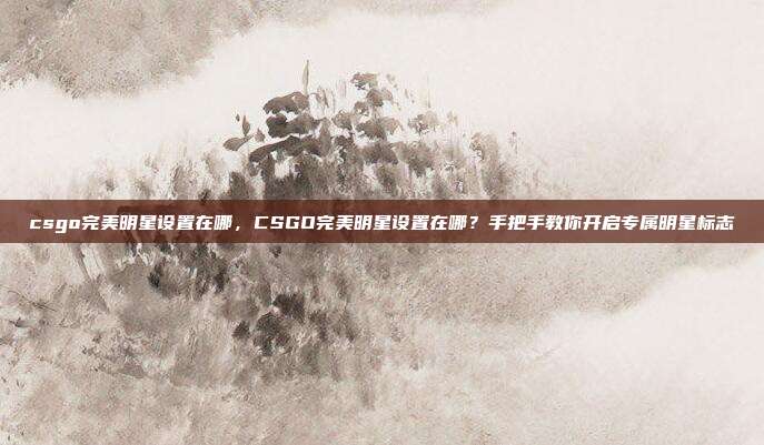 csgo完美明星设置在哪，CSGO完美明星设置在哪？手把手教你开启专属明星标志