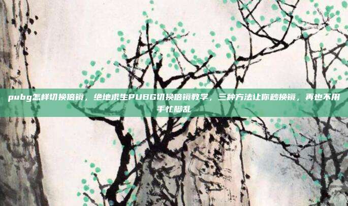pubg怎样切换倍镜，绝地求生PUBG切换倍镜教学，三种方法让你秒换镜，再也不用手忙脚乱