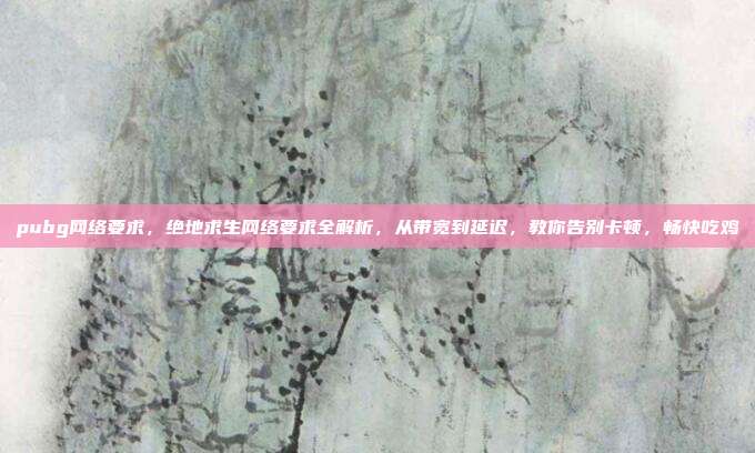 pubg网络要求，绝地求生网络要求全解析，从带宽到延迟，教你告别卡顿，畅快吃鸡