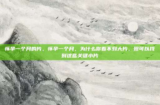怀孕一个月的片，怀孕一个月，为什么你看不到大片，但可以找到这些关键小片