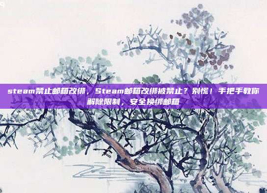 steam禁止邮箱改绑，Steam邮箱改绑被禁止？别慌！手把手教你解除限制，安全换绑邮箱