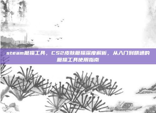 steam磨损工具，CS2皮肤磨损深度解析，从入门到精通的磨损工具使用指南