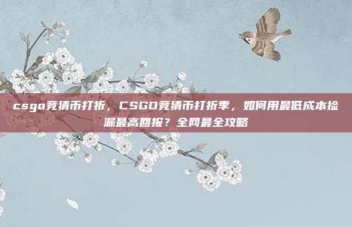 csgo竞猜币打折，CSGO竞猜币打折季，如何用最低成本捡漏最高回报？全网最全攻略