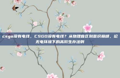 csgo没有电线，CSGO没有电线？从物理盲区到意识巅峰，论无电环境下的高阶生存法则