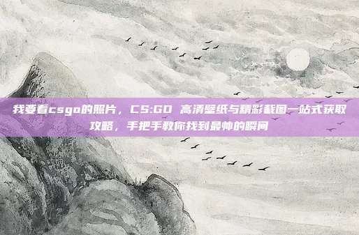 我要看csgo的照片，CS:GO 高清壁纸与精彩截图一站式获取攻略，手把手教你找到最帅的瞬间