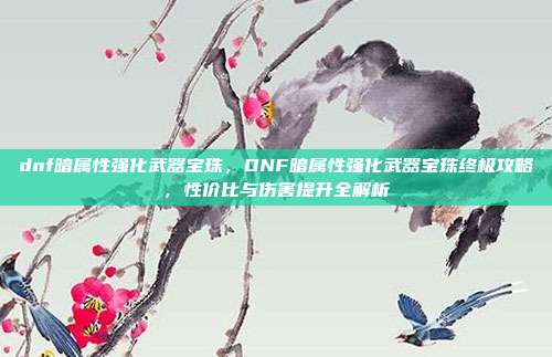 dnf暗属性强化武器宝珠，DNF暗属性强化武器宝珠终极攻略，性价比与伤害提升全解析