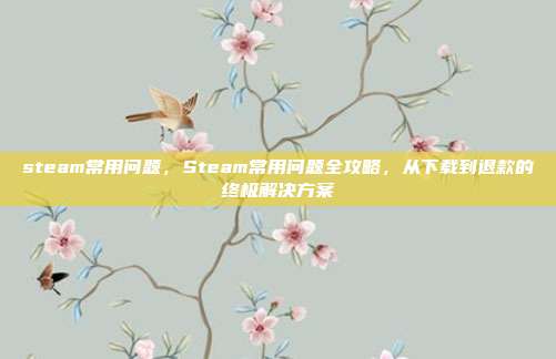 steam常用问题，Steam常用问题全攻略，从下载到退款的终极解决方案
