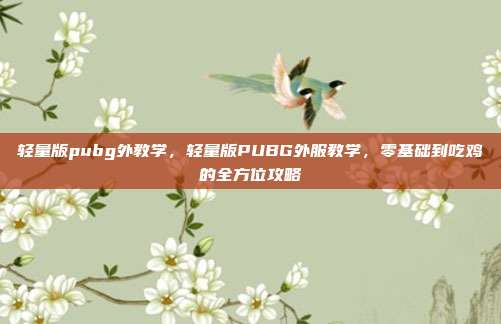 轻量版pubg外教学，轻量版PUBG外服教学，零基础到吃鸡的全方位攻略