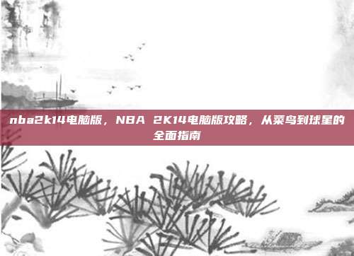 nba2k14电脑版，NBA 2K14电脑版攻略，从菜鸟到球星的全面指南