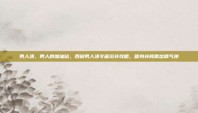 男人汤，男人的加油站，四碗男人汤冬藏滋补攻略，暖身补肾喝出精气神