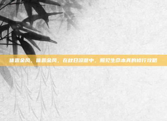 体露金风，体露金风，在秋日凉意中，照见生命本真的修行攻略
