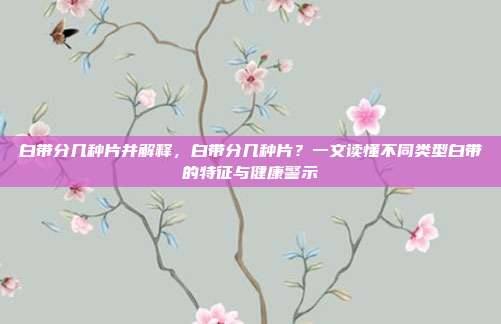 白带分几种片并解释，白带分几种片？一文读懂不同类型白带的特征与健康警示
