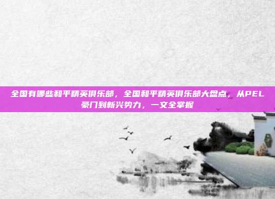 全国有哪些和平精英俱乐部，全国和平精英俱乐部大盘点，从PEL豪门到新兴势力，一文全掌握