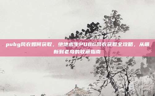pubg风衣如何获取，绝地求生PUBG风衣获取全攻略，从萌新到老鸟的收藏指南