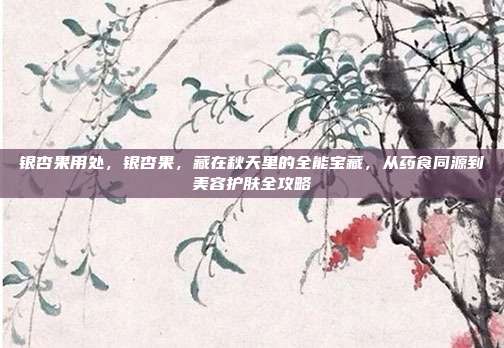 银杏果用处，银杏果，藏在秋天里的全能宝藏，从药食同源到美容护肤全攻略