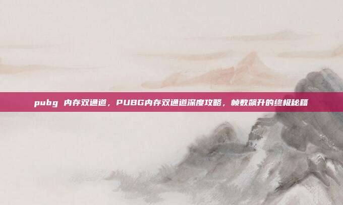 pubg 内存双通道，PUBG内存双通道深度攻略，帧数飙升的终极秘籍