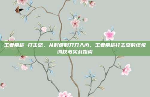 王者荣耀 打击感，从刮痧到刀刀入肉，王者荣耀打击感的终极调校与实战指南