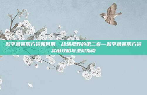 和平精英侧方镜如何用，战场视野的第二春—和平精英侧方镜实用攻略与进阶指南