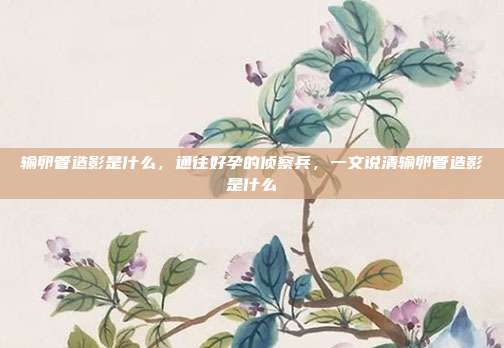 输卵管造影是什么，通往好孕的侦察兵，一文说清输卵管造影是什么