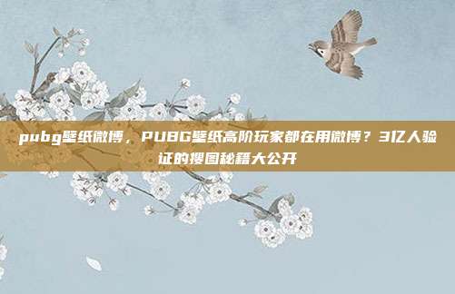 pubg壁纸微博，PUBG壁纸高阶玩家都在用微博？3亿人验证的搜图秘籍大公开