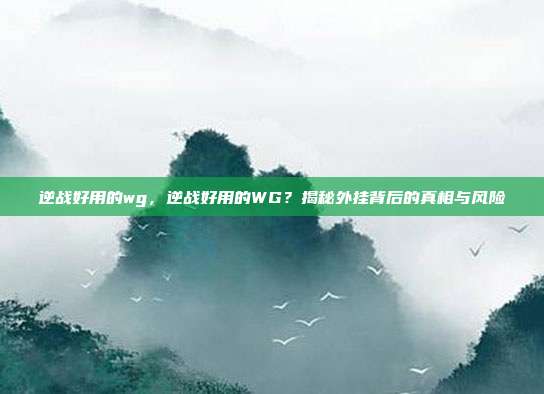 逆战好用的wg，逆战好用的WG？揭秘外挂背后的真相与风险