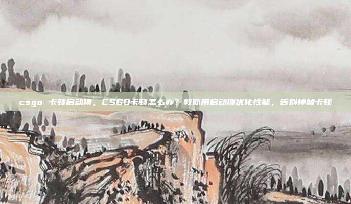 csgo 卡顿启动项，CSGO卡顿怎么办？教你用启动项优化性能，告别掉帧卡顿