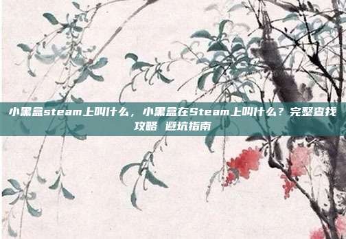 小黑盒steam上叫什么，小黑盒在Steam上叫什么？完整查找攻略 避坑指南