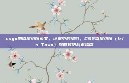 csgo的鸢尾小镇英文，迷雾中的暗影，CS2鸢尾小镇（Iris Town）深度攻防战术指南