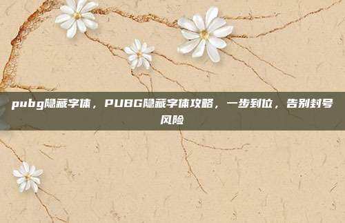 pubg隐藏字体，PUBG隐藏字体攻略，一步到位，告别封号风险