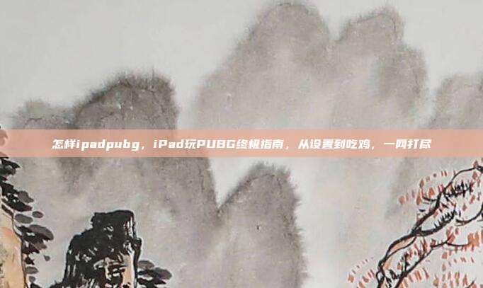 怎样ipadpubg，iPad玩PUBG终极指南，从设置到吃鸡，一网打尽