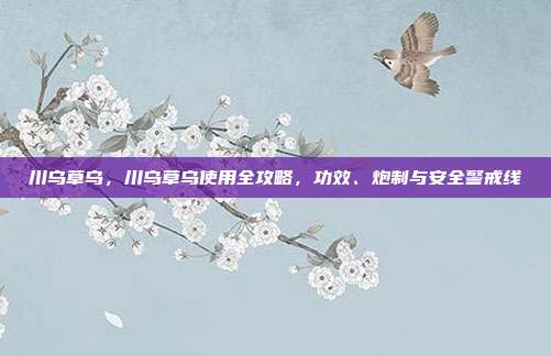 川乌草乌，川乌草乌使用全攻略，功效、炮制与安全警戒线
