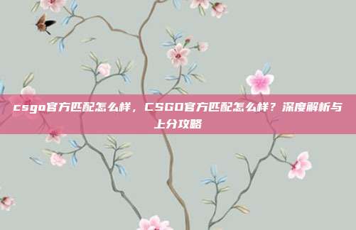csgo官方匹配怎么样，CSGO官方匹配怎么样？深度解析与上分攻略