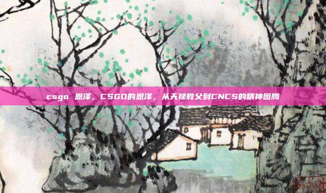 csgo 恩泽，CSGO的恩泽，从天禄教父到CNCS的精神图腾