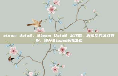 steam data2，Steam Data2 全攻略，解锁你的游戏数据，提升Steam使用体验
