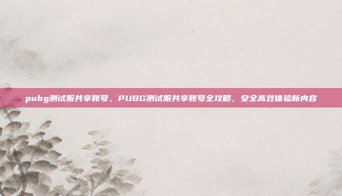 pubg测试服共享账号，PUBG测试服共享账号全攻略，安全高效体验新内容