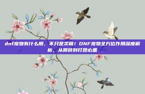dnf宠物有什么用，不只是卖萌！DNF宠物全方位作用深度解析，从搬砖到打团必备