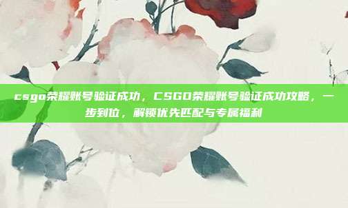 csgo荣耀账号验证成功，CSGO荣耀账号验证成功攻略，一步到位，解锁优先匹配与专属福利