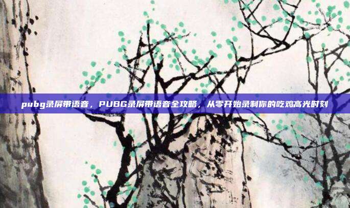 pubg录屏带语音，PUBG录屏带语音全攻略，从零开始录制你的吃鸡高光时刻