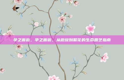 孕之蔷薇，孕之蔷薇，从微绽到繁花的生命园艺指南