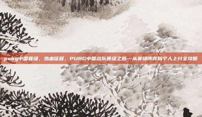 pubg中国晋级，热血征程，PUBG中国战队晋级之路—从赛场博弈到个人上分全攻略