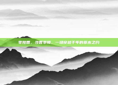 零陵香，寻香零陵，一场穿越千年的草木之约