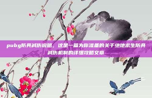 pubg防具减伤说明，这是一篇为你准备的关于绝地求生防具减伤机制的详细攻略文章