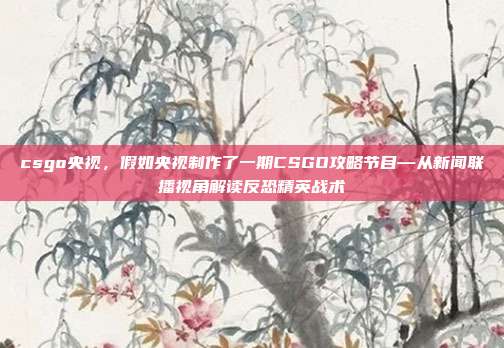 csgo央视，假如央视制作了一期CSGO攻略节目—从新闻联播视角解读反恐精英战术