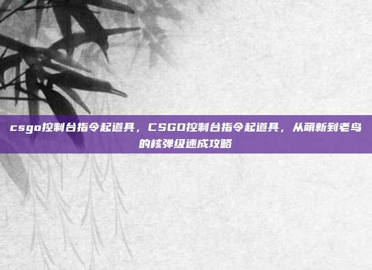 csgo控制台指令起道具，CSGO控制台指令起道具，从萌新到老鸟的核弹级速成攻略